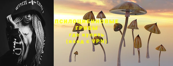 ALPHA PVP Белокуриха