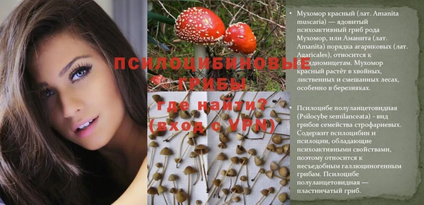 стафф Беломорск